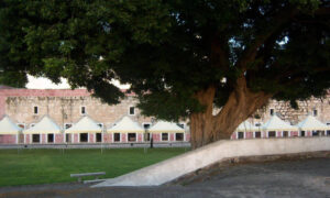 Pagoda Basic, gazebo con struttura a vista