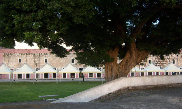 Pagoda Basic, gazebo con struttura a vista